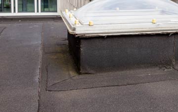 disadvantages of Great Lumley flat roofs