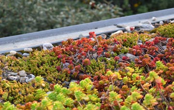 the cost of Great Lumley green roof installation
