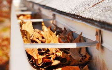 Great Lumley gutter cleaning companies