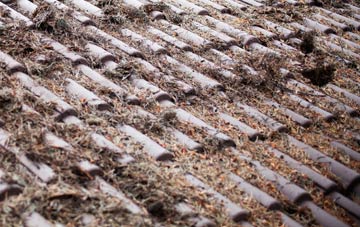 Great Lumley roof cleaning companies