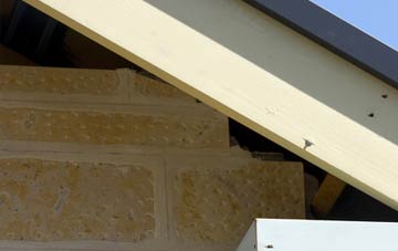 soffit repair Great Lumley