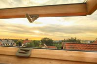 rated Great Lumley roof window companies